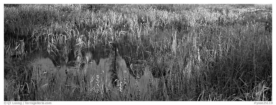 Yosemite Valley with fog. Yosemite National Park (black and white)