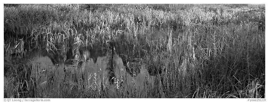 Yosemite Valley with fog. Yosemite National Park (black and white)