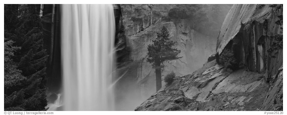 Cathedral Peak reflected in seasonal pond. Yosemite National Park (black and white)