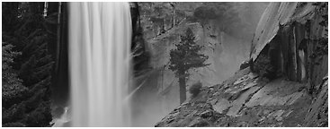 Cathedral Peak reflected in seasonal pond. Yosemite National Park (Panoramic black and white)