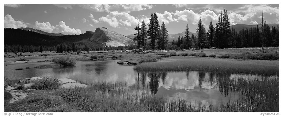 Lambert Dome reflected in seasonal Tuolume Meadows pond. Yosemite National Park (black and white)