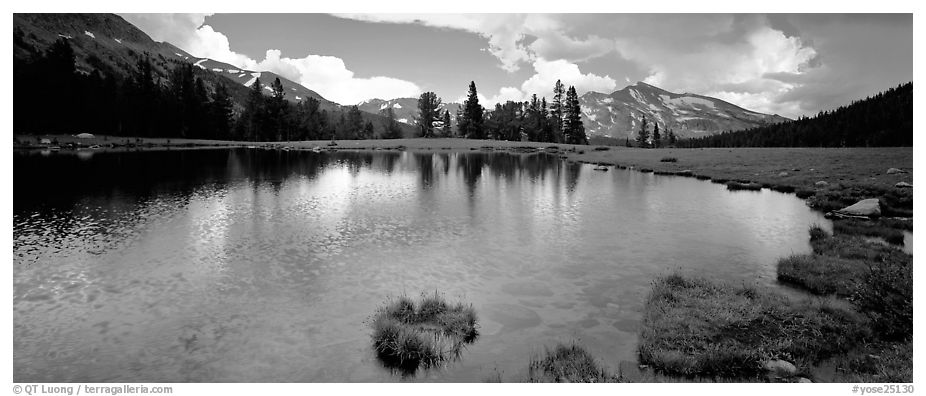 Alpine tarn near Tioga Pass. Yosemite National Park (black and white)