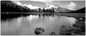 Alpine tarn near Tioga Pass. Yosemite National Park (Panoramic black and white)