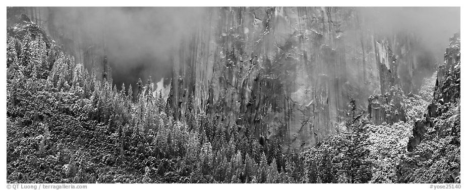 Cliffs and distant snowy trees. Yosemite National Park (black and white)