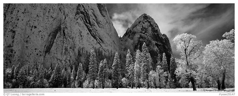 Panoramic Black And White Picturephoto Winter Scene With Snow Covered