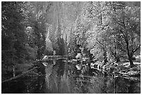 Merced River, trees, and rock wall. Yosemite National Park ( black and white)