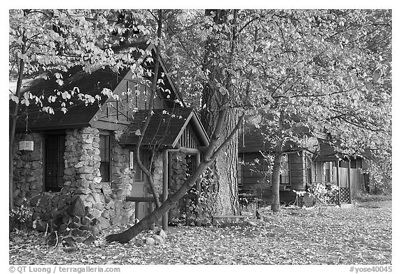 Private houses in autumn. Yosemite National Park (black and white)