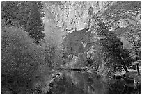 Trees in fall foliage bordering Merced River. Yosemite National Park, California, USA. (black and white)
