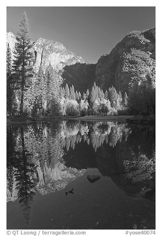 Autumn morning reflections, Merced River. Yosemite National Park, California, USA.