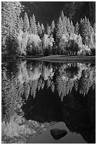 Reflections and rock, Merced River. Yosemite National Park, California, USA. (black and white)