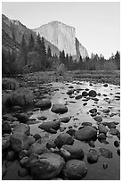 Boulders in Merced River and El Capitan at sunset. Yosemite National Park, California, USA. (black and white)