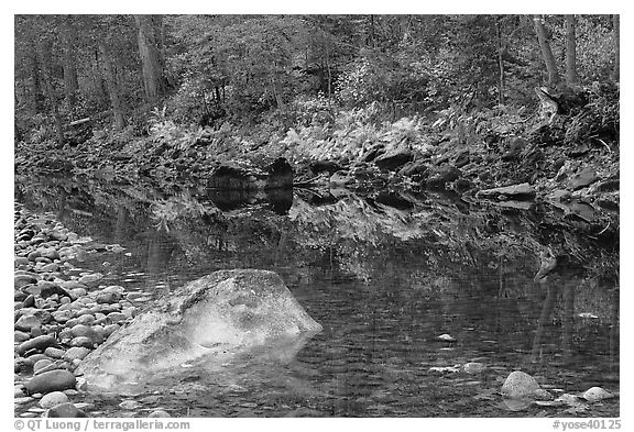 Boulders, pebbles and ferms along  Merced River. Yosemite National Park (black and white)