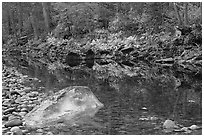 Boulders, pebbles and ferms along  Merced River. Yosemite National Park, California, USA. (black and white)