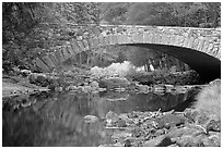 Bridge over the Merced River. Yosemite National Park, California, USA. (black and white)