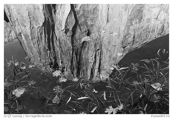 El Capitan reflection. Yosemite National Park (black and white)