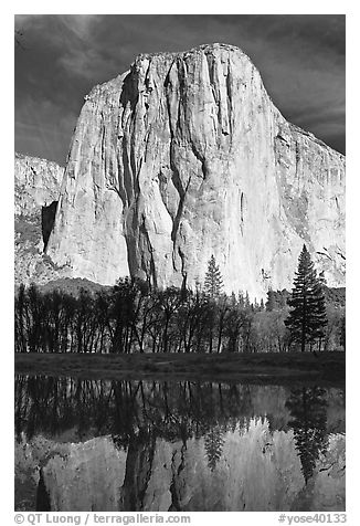 El Capitan and Merced River, morning. Yosemite National Park (black and white)