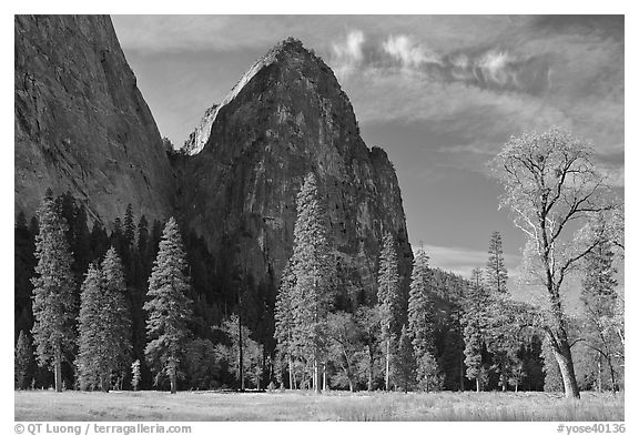 El Capitan Meadow and Cathedral Rocks in autumn. Yosemite National Park (black and white)