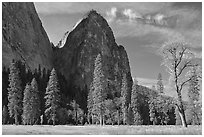 El Capitan Meadow and Cathedral Rocks in autumn. Yosemite National Park, California, USA. (black and white)