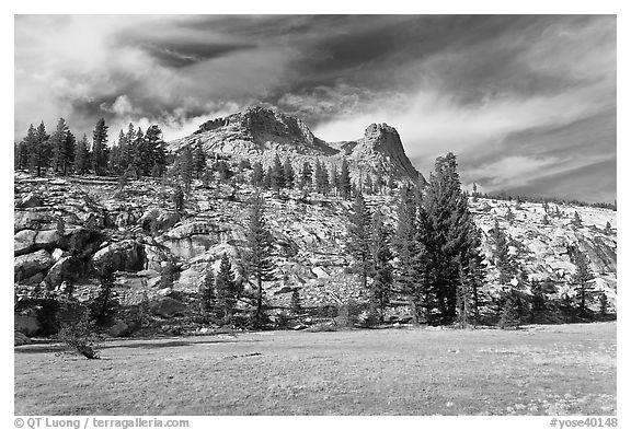 Meadow and Mount Hoffman. Yosemite National Park, California, USA.