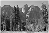 Cathedral Rocks seen from Sentinel Meadow. Yosemite National Park, California, USA. (black and white)