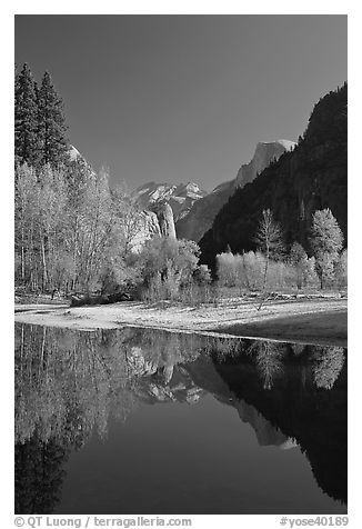Trees in autum foliage, Half-Dome, and cliff reflected in Merced River. Yosemite National Park (black and white)