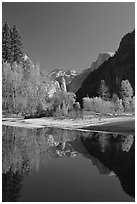 Trees in autum foliage, Half-Dome, and cliff reflected in Merced River. Yosemite National Park, California, USA. (black and white)