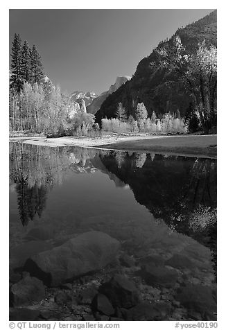 Rocks and Merced River reflections of trees and Half-DOme. Yosemite National Park (black and white)