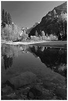 Rocks and Merced River reflections of trees and Half-DOme. Yosemite National Park, California, USA. (black and white)