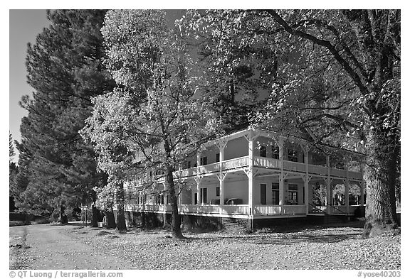 Wawona lodge in autumn. Yosemite National Park (black and white)