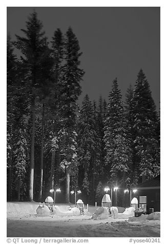 Well-lit gas station and snowy trees. Yosemite National Park (black and white)