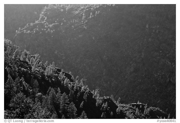 Canyon of the Tuolumne River, Hetch Hetchy Valley. Yosemite National Park (black and white)