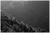 Canyon of the Tuolumne River, Hetch Hetchy Valley. Yosemite National Park ( black and white)