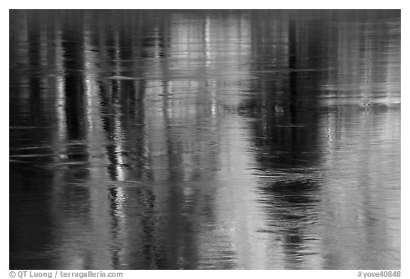 Spring reflections in Merced River. Yosemite National Park (black and white)