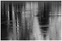 Spring reflections in Merced River. Yosemite National Park ( black and white)