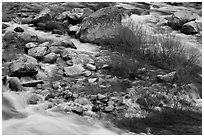 Rapids and shrubs, early spring, Lower Merced Canyon. Yosemite National Park ( black and white)