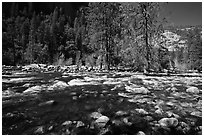 Wide stretch of Merced River in spring, Lower Merced Canyon. Yosemite National Park, California, USA. (black and white)