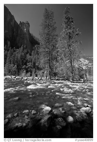 Rostrum, tall trees, and Merced River. Yosemite National Park (black and white)