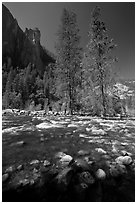 Rostrum, tall trees, and Merced River. Yosemite National Park, California, USA. (black and white)