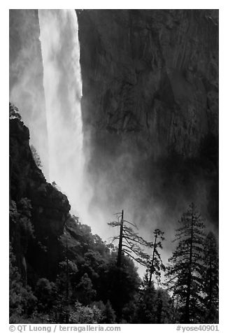 Base of Bridalveil fall. Yosemite National Park (black and white)