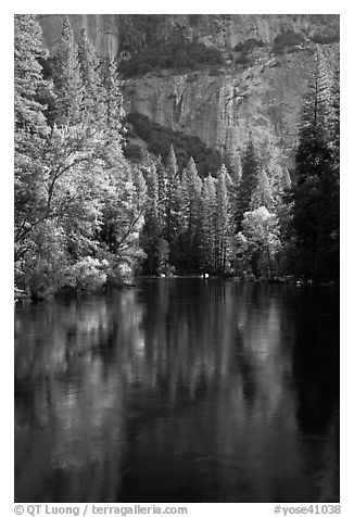 Trees reflected in river at the base of El Capitan in spring. Yosemite National Park (black and white)