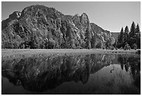 Sentinel Rock reflected in seasonal pond, Cook Meadow. Yosemite National Park ( black and white)