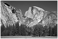 Half Dome and Washington Column from Ahwanhee Meadow in Spring. Yosemite National Park, California, USA. (black and white)