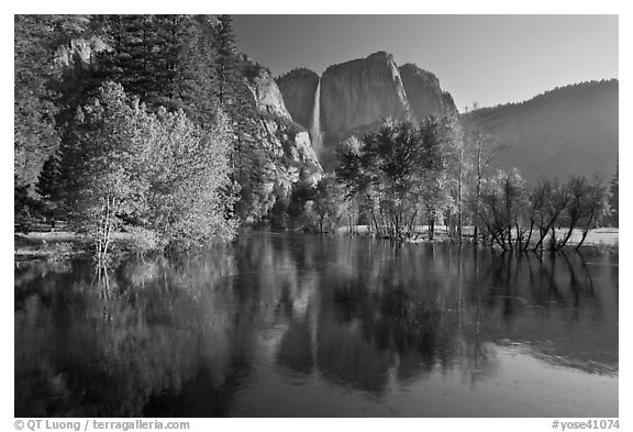 Trees in spring foliage and Yosemite Falls reflected in Merced River. Yosemite National Park (black and white)