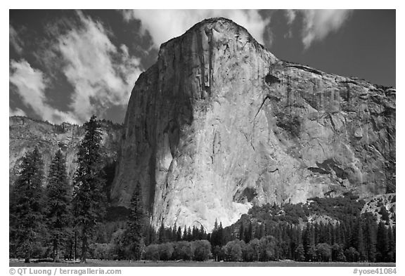 El Capitan. Yosemite National Park (black and white)