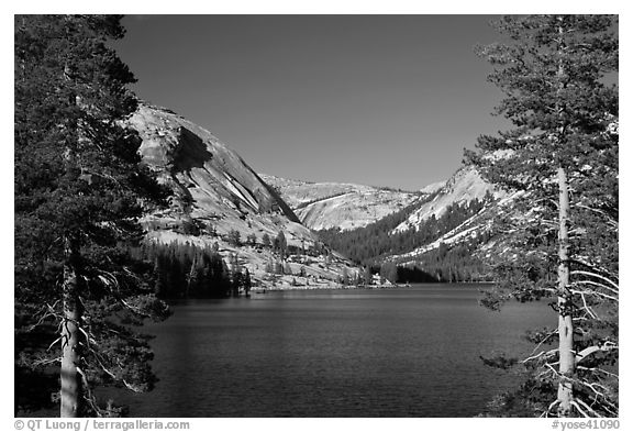 Tenaya Lake and Medlicott Dome framed by trees. Yosemite National Park (black and white)