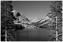 Tenaya Lake and Medlicott Dome framed by trees. Yosemite National Park ( black and white)