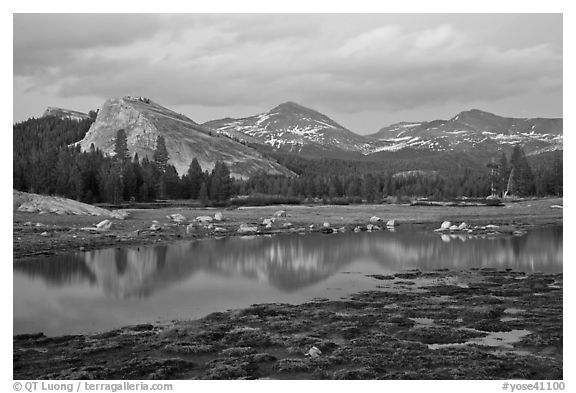 Lambert Dome and Sierra Crest peaks reflected in seasonal pond, dusk. Yosemite National Park, California, USA.