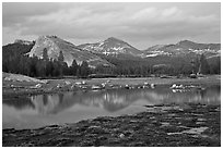 Lambert Dome and Sierra Crest peaks reflected in seasonal pond, dusk. Yosemite National Park, California, USA. (black and white)