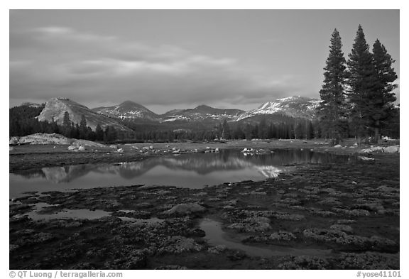 Tuolumne Meadows with domes reflected in early spring, dusk. Yosemite National Park (black and white)