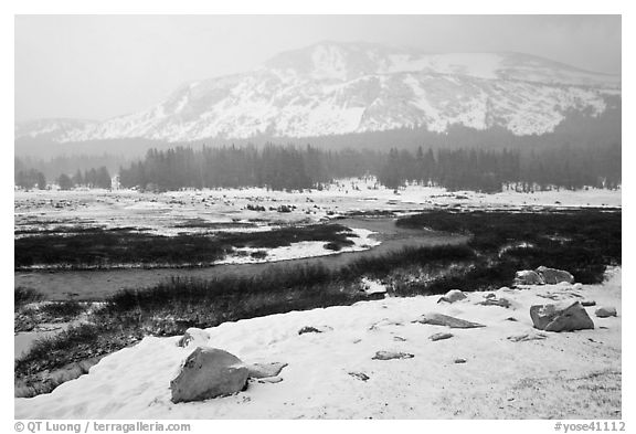 Snowy landscape near Tioga Pass. Yosemite National Park, California, USA.